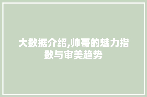 大数据介绍,帅哥的魅力指数与审美趋势