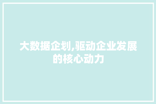大数据企划,驱动企业发展的核心动力 建站教程
