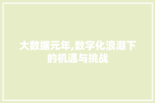 大数据元年,数字化浪潮下的机遇与挑战 服务器/数据库
