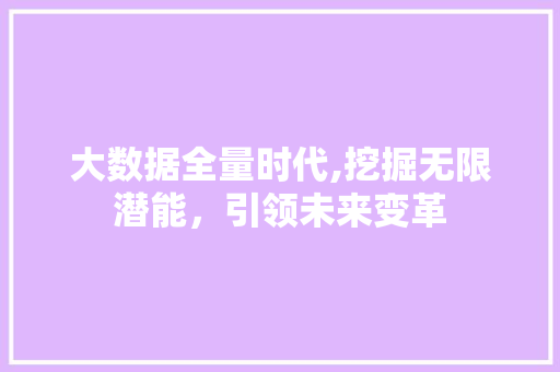 大数据全量时代,挖掘无限潜能，引领未来变革 建站教程