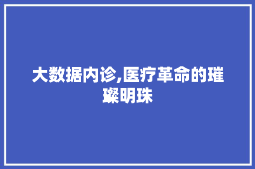 大数据内诊,医疗革命的璀璨明珠 建站教程