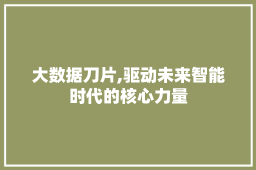 大数据刀片,驱动未来智能时代的核心力量 SEO教程