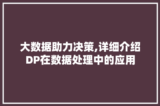 大数据助力决策,详细介绍DP在数据处理中的应用 服务器/数据库