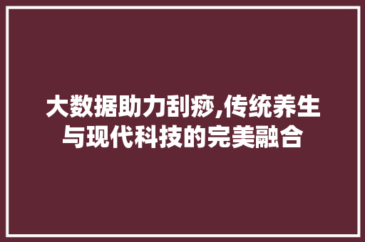 大数据助力刮痧,传统养生与现代科技的完美融合 WordPress教程