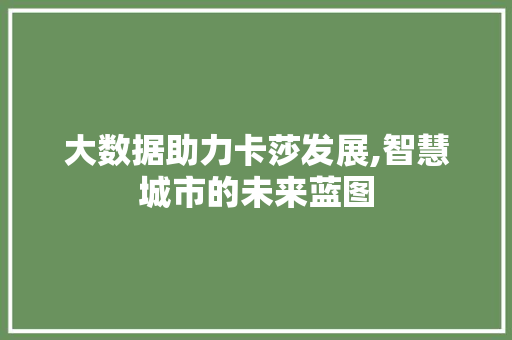 大数据助力卡莎发展,智慧城市的未来蓝图 SEO教程