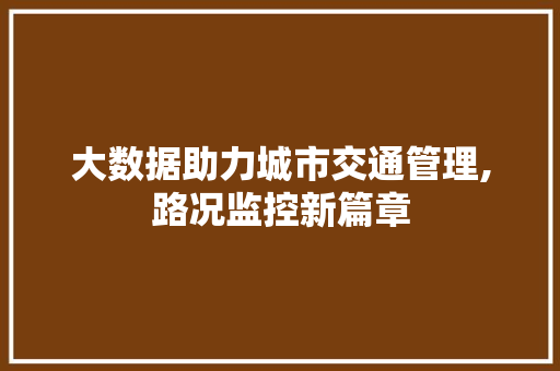 大数据助力城市交通管理,路况监控新篇章 SEO教程