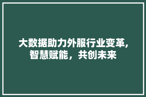 大数据助力外服行业变革,智慧赋能，共创未来 WordPress教程