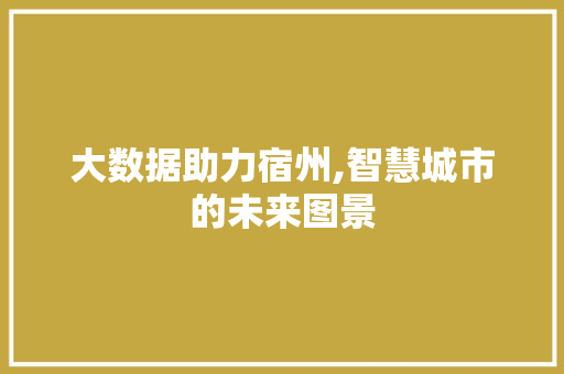 大数据助力宿州,智慧城市的未来图景 建站教程