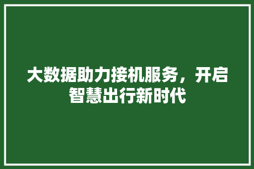 大数据助力接机服务，开启智慧出行新时代