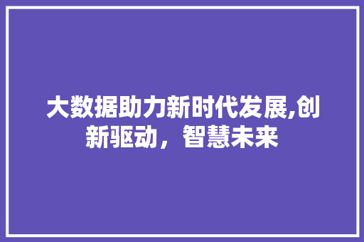 大数据助力新时代发展,创新驱动，智慧未来 WordPress教程