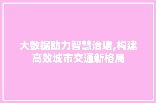 大数据助力智慧治堵,构建高效城市交通新格局 Web前端