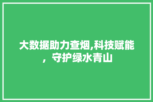 大数据助力查烟,科技赋能，守护绿水青山 WordPress教程