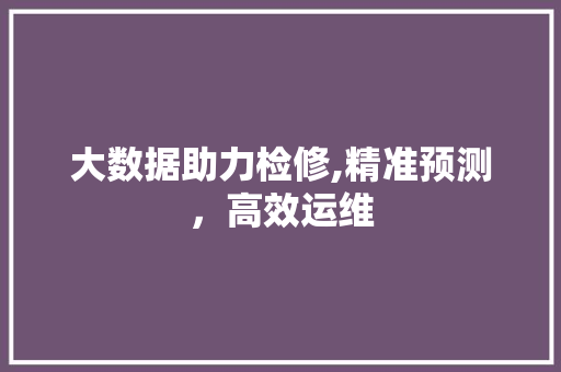 大数据助力检修,精准预测，高效运维 Web前端