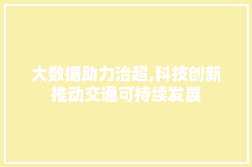 大数据助力治超,科技创新推动交通可持续发展 Web前端