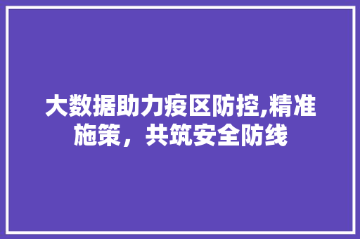 大数据助力疫区防控,精准施策，共筑安全防线 WordPress教程
