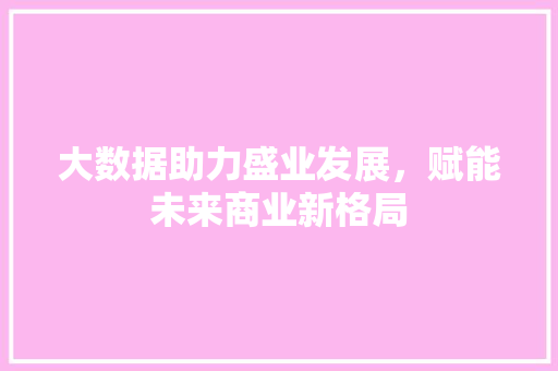 大数据助力盛业发展，赋能未来商业新格局 SEO教程