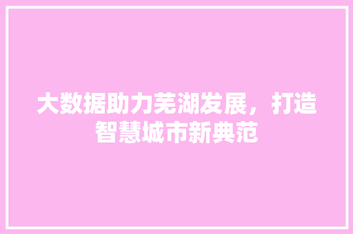 大数据助力芜湖发展，打造智慧城市新典范 服务器/数据库