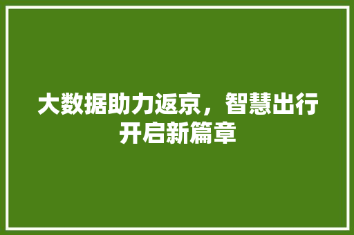 大数据助力返京，智慧出行开启新篇章 WordPress教程