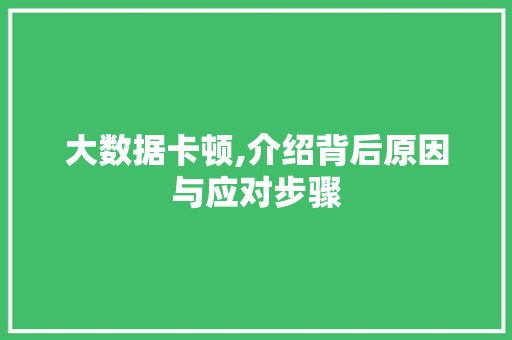 大数据卡顿,介绍背后原因与应对步骤 友链在线
