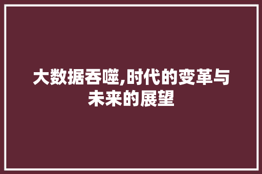 大数据吞噬,时代的变革与未来的展望 SEO教程