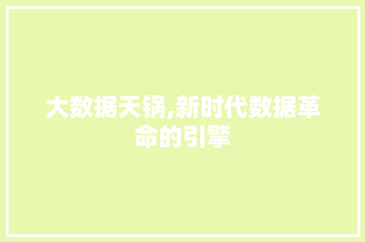 大数据天锅,新时代数据革命的引擎 SEO教程