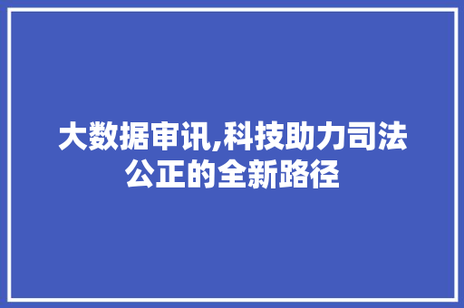 大数据审讯,科技助力司法公正的全新路径 友链在线
