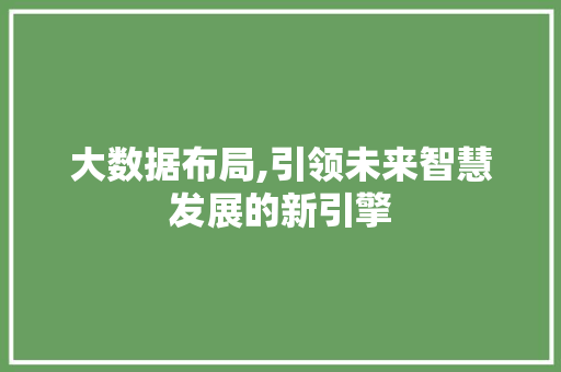 大数据布局,引领未来智慧发展的新引擎