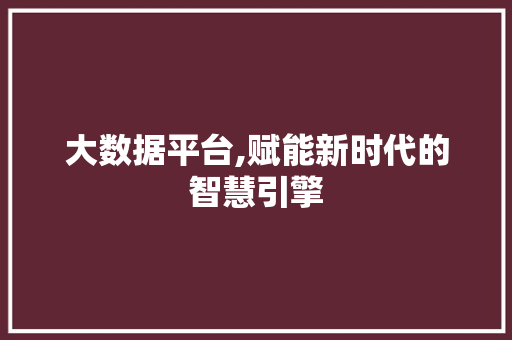 大数据平台,赋能新时代的智慧引擎