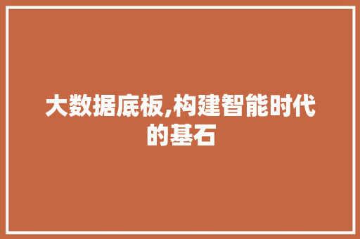 大数据底板,构建智能时代的基石 Web前端