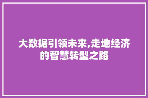 大数据引领未来,走地经济的智慧转型之路 WordPress教程