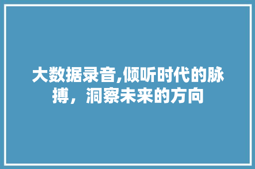 大数据录音,倾听时代的脉搏，洞察未来的方向