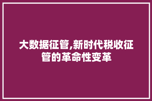 大数据征管,新时代税收征管的革命性变革