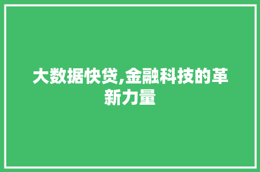 大数据快贷,金融科技的革新力量