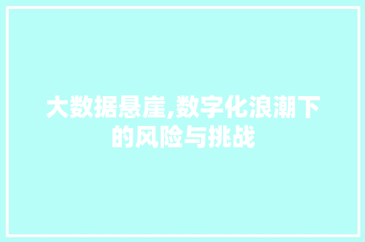 大数据悬崖,数字化浪潮下的风险与挑战 建站教程