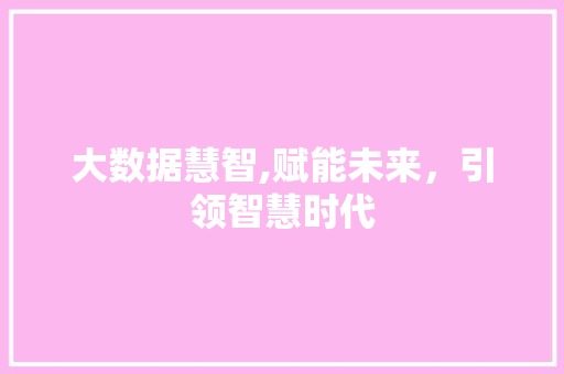 大数据慧智,赋能未来，引领智慧时代