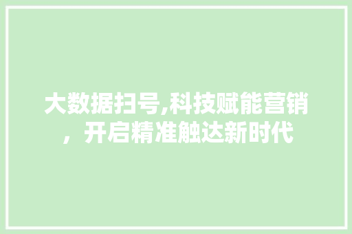大数据扫号,科技赋能营销，开启精准触达新时代