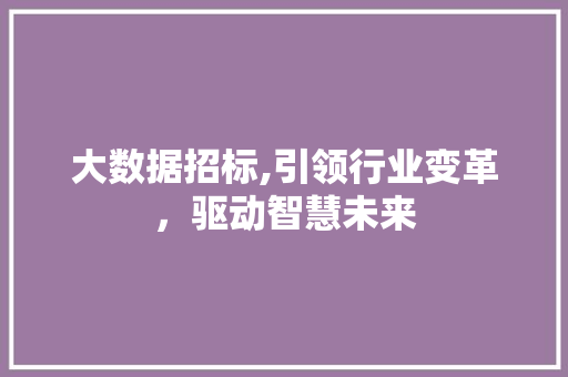 大数据招标,引领行业变革，驱动智慧未来