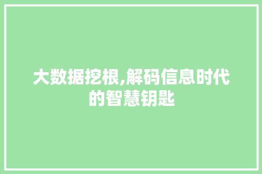 大数据挖根,解码信息时代的智慧钥匙