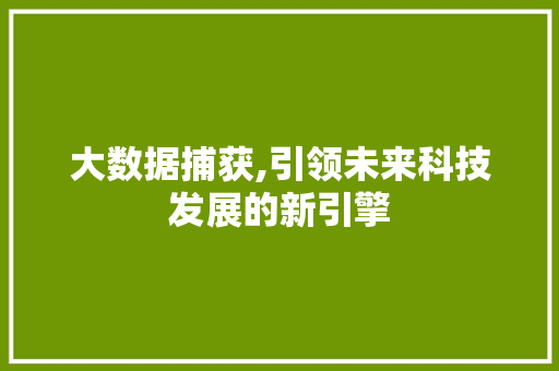 大数据捕获,引领未来科技发展的新引擎 Web前端