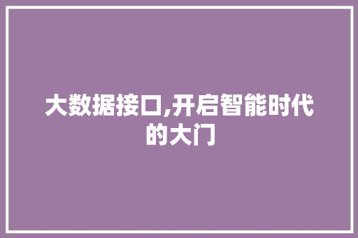 大数据接口,开启智能时代的大门