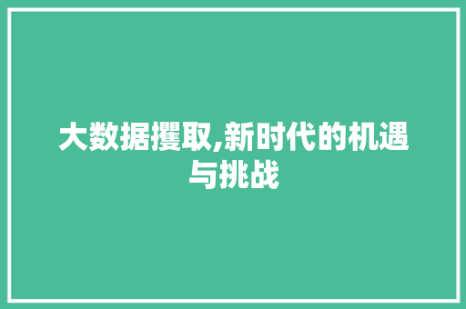 大数据攫取,新时代的机遇与挑战 WordPress教程