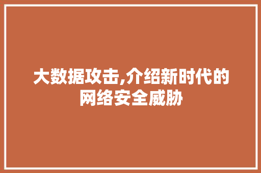大数据攻击,介绍新时代的网络安全威胁