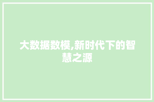 大数据数模,新时代下的智慧之源