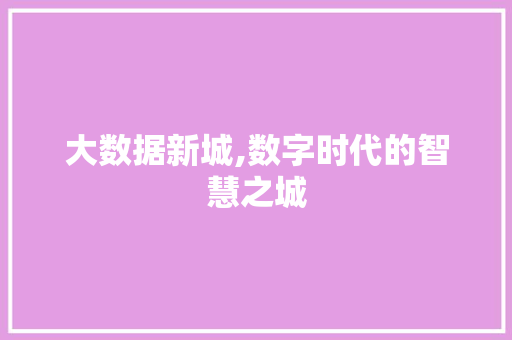 大数据新城,数字时代的智慧之城