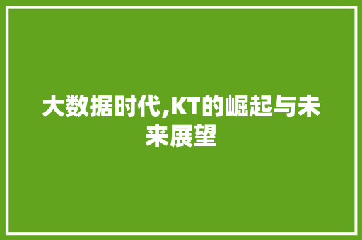大数据时代,KT的崛起与未来展望 SEO教程