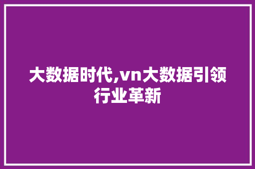 大数据时代,vn大数据引领行业革新 SEO教程