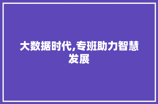 大数据时代,专班助力智慧发展 建站教程