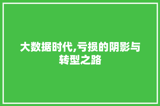 大数据时代,亏损的阴影与转型之路