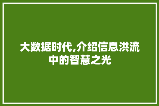 大数据时代,介绍信息洪流中的智慧之光 友链在线