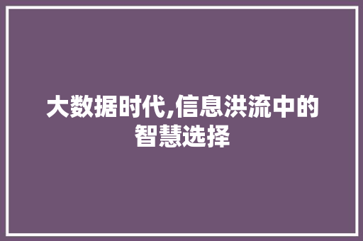 大数据时代,信息洪流中的智慧选择 Web前端